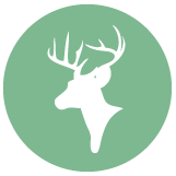Deer Hunting Boots Icon